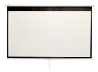 Экран настенный Classic Norma (4:3) 308x230 (W 300x220/3 MW-M8/W)
