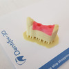 Фотополимер FunToDo Dentifix-3D Gingiva HR для 3D принтера LCD/DLP 1 л розовый