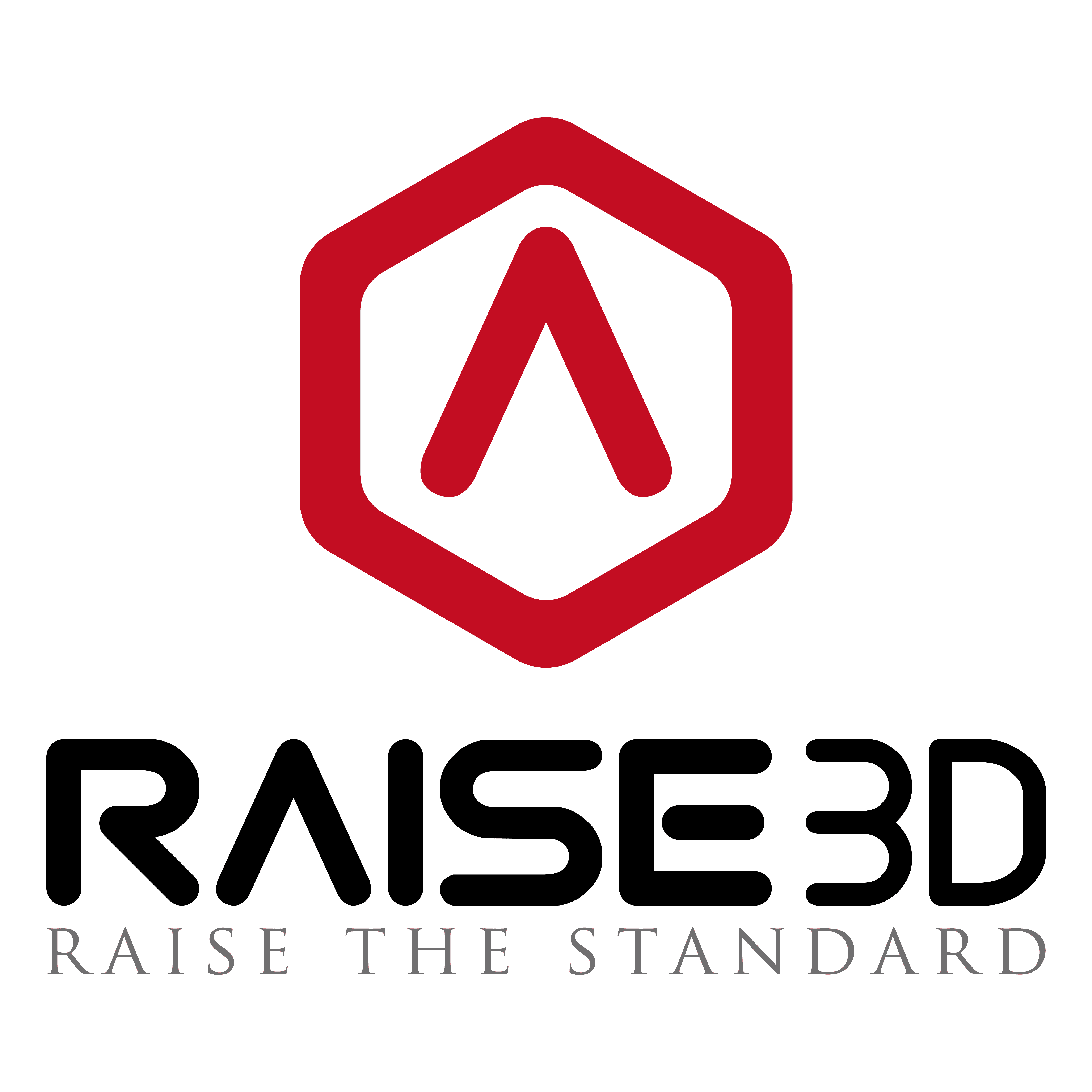 Ideamaker. Raise3d лого. Raise 3d. Raise3d pro3 Plus. 3dtoday логотип.